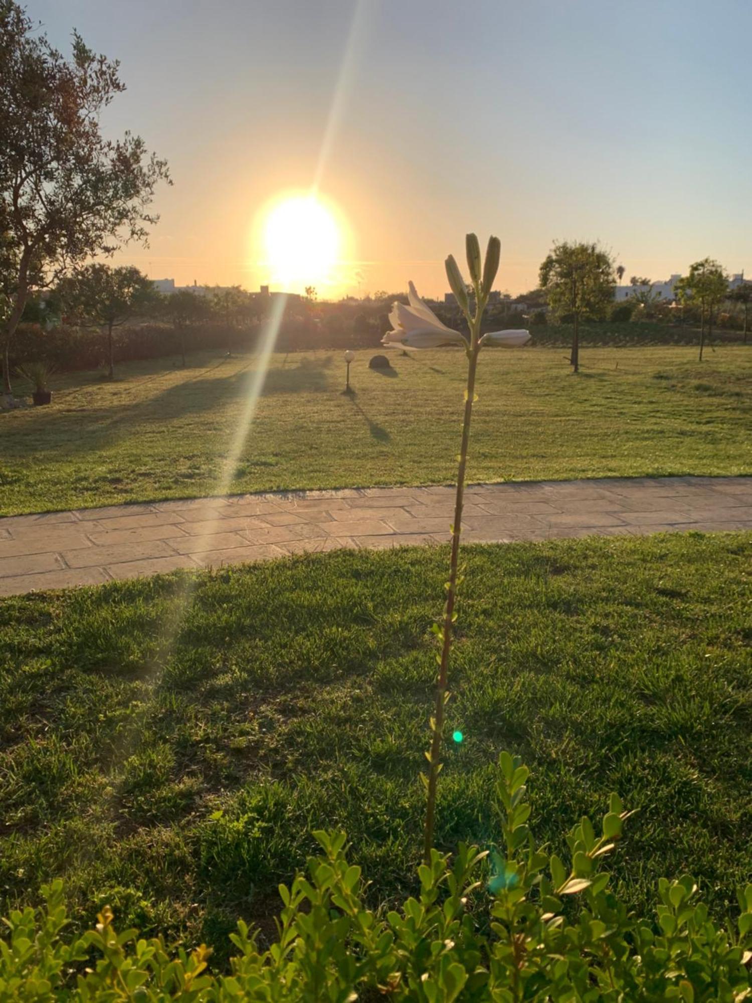 Masseria Capece Bed & Breakfast 乌瓜诺拉基耶萨 外观 照片